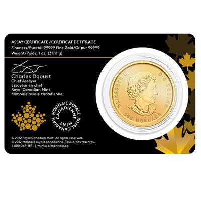 KLONDIKE GOLD RUSH - 1 OZ
999,99 PURE GOLD
200 $ | 1 Oz Gold | Uncirculated
Mintage unlimited