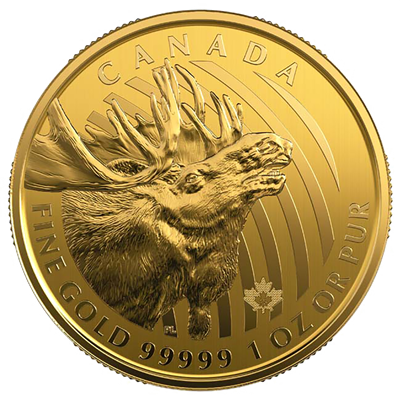 Canada 2019
CANADIAN MOOSE - 1 OZ
IN BLISTERCARD
200 $ | 1 Oz Gold | Uncirculated
Bullion Coin