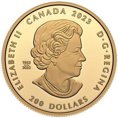 Canada 2023
CANADIAN BRILLIANCE - 1 OZ
WITH FOREVERMARK™ DIAMOND
200 $ | 1 Oz Gold | Proof
Mintage only 350 pieces