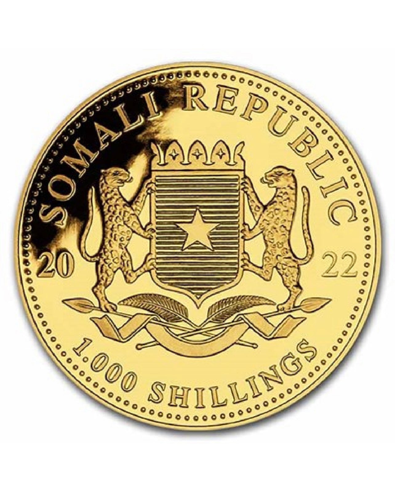 2022 Somalia 1 oz Gold African Elephant (MintDirect® Single)