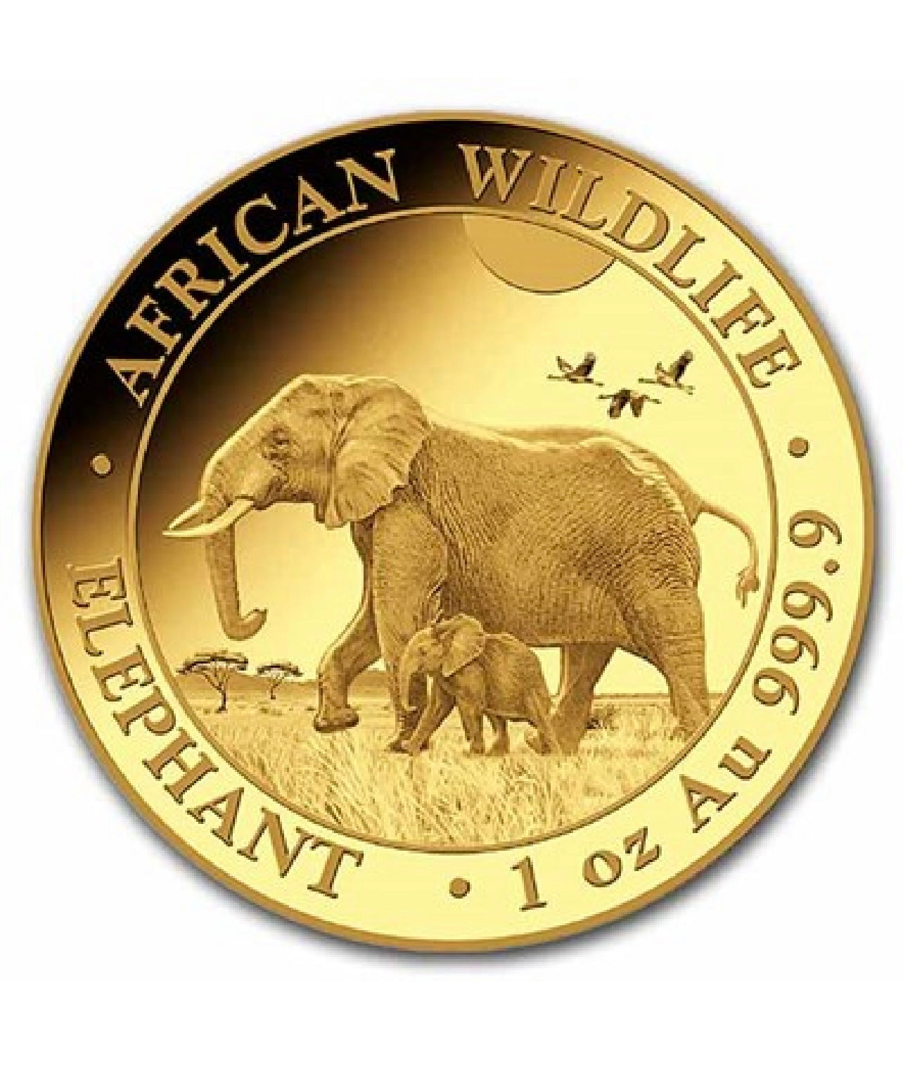 2022 Somalia 1 oz Gold African Elephant (MintDirect® Single)